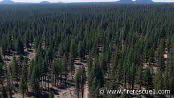 U.S. Forest Service to close 23 research stations in agency overhaul