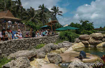 Sea Life Park begins new transformation