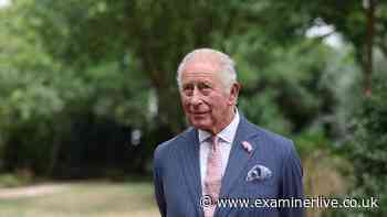 Prince Harry and King Charles in phone call row as exchange turns 'heated'