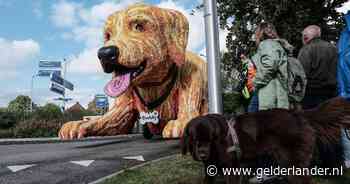 KIJK | Nachtmerries, een mega-Golden Retriever en een glorieuze winnaar: dit was het bloemencorso Lichtenvoorde