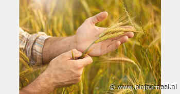 Syngenta sluit Europese distributiedeal voor biologisch middel tegen schimmels