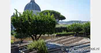 Moestuin Vaticaan volledig over op biologische teelt