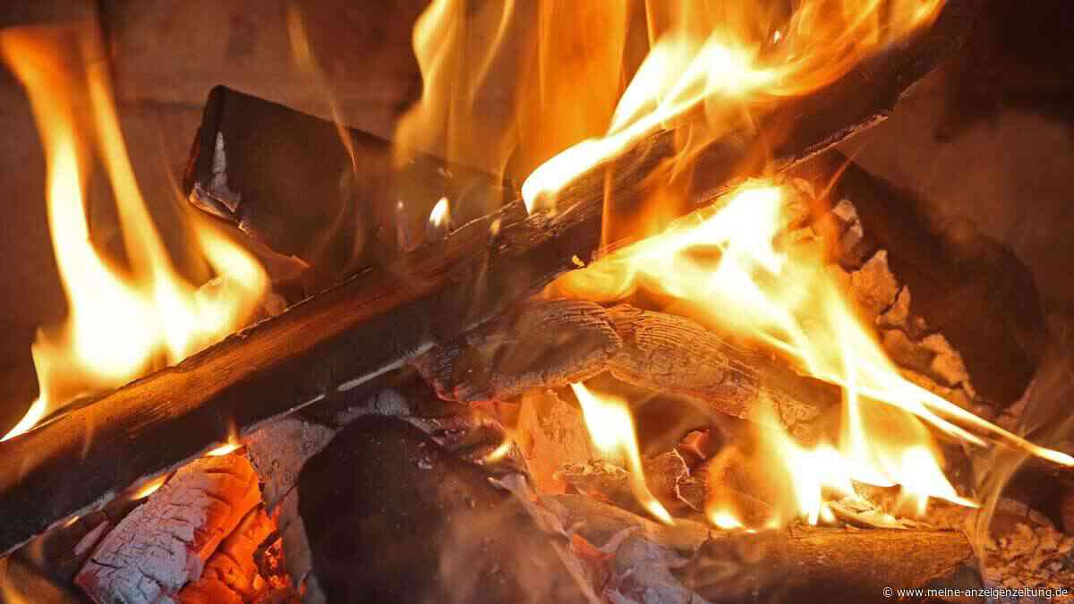 Kaminholz-Test: Warum Heizexperten Spülmittel auf den Scheit kippen