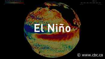 I’ve tracked El Niño for years. I’ve never seen this before