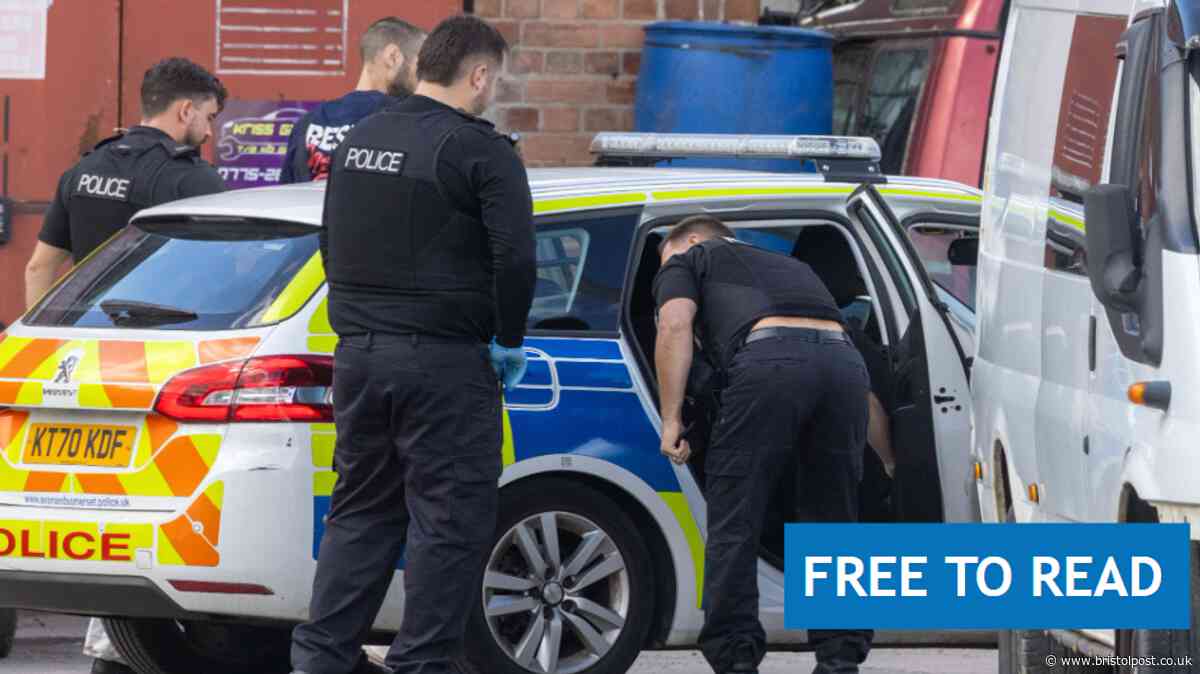 Update after illegal crop found inside Kingswood property