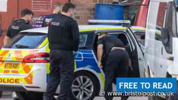 Update after illegal crop found inside Kingswood property