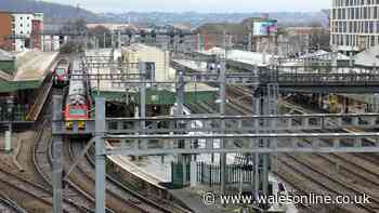 Person hit by train dies and passengers face disruption between Cardiff and London - live