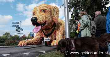 KIJK | Nachtmerries, Golden Retriever en een glorieuze winnaar: dit was het bloemencorso in Lichtenvoorde