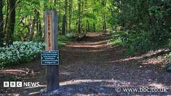 Reopening popular woodland walk will cost £30,000