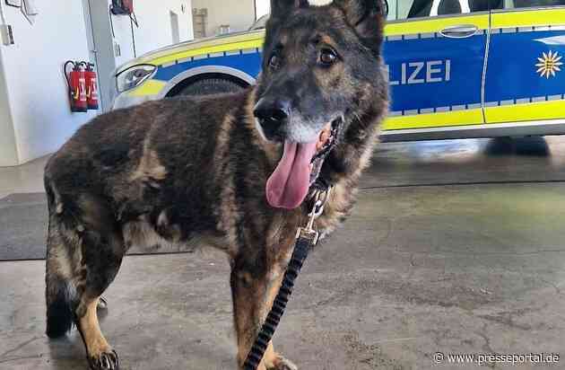 POL-OG: Haslach im Kinzigtal - Glückliches Ende nach Hundesuche - Hinweise der Polizei