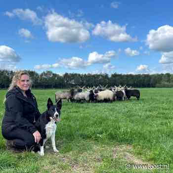 Met fluit en bordercollie naar Schotland: Danique klaar voor WK Schapendrijven