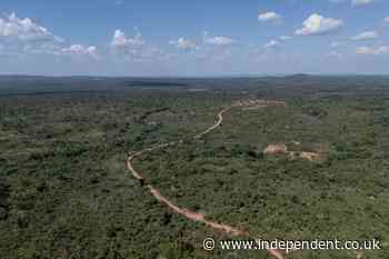 Mining for minerals in the Congo could help save the rainforest, former minister says