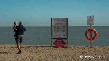 Airborne algae: Scientists near Lake Erie study health impacts on people