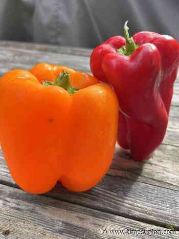 Pepper primer: How to pick, prepare the plant for polishing off
