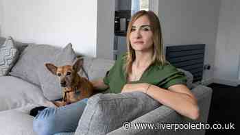Mum installed dog cameras - the footage it captured left police 'disturbed' and a man in jail