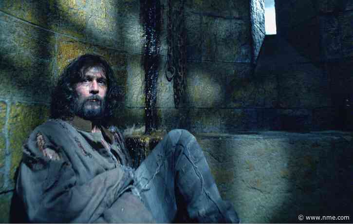 ‘Harry Potter’ TV show will be “more satisfying” than movies, says Gary Oldman