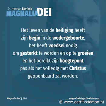 22.8 – De heiliging als groeiproces