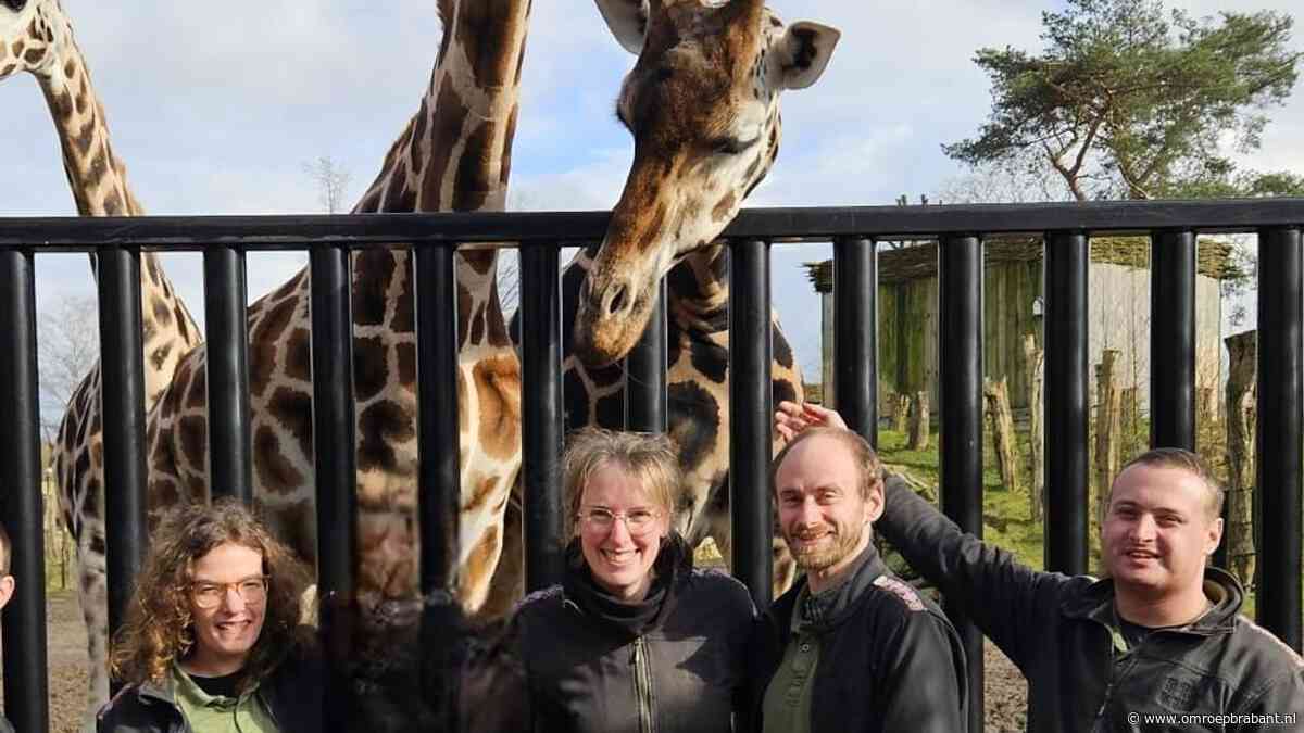 Deze hulpboeren verruilen de koeienstal voor giraffen en neushoorns