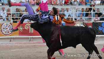 Moment 'Messi of matadors' is tossed around between bull's horns while clinging on for his life - months after he was horrifically gored in Spain