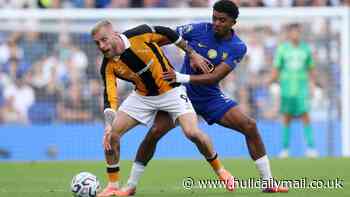 Ex-Premier League boss lavishes praise on Hull City and Sergej Jakirovic for what they're doing 'exceptionally well'