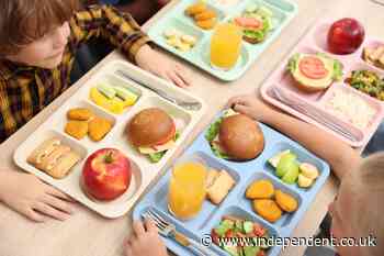 Ice cream and deep-fried food banned from UK school dinners in healthy overhaul