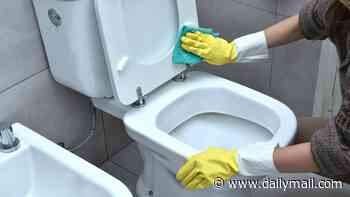 How often should you clean your toilet? Experts settle the debate - so, are you doing it enough?