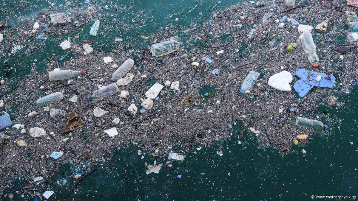 Flüsse schwemmen Mikroplastik ins Meer
