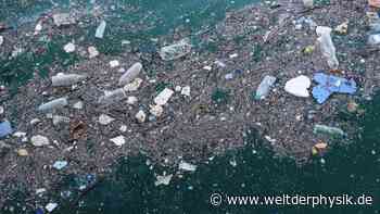 Flüsse schwemmen Mikroplastik ins Meer