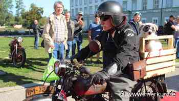 Klassiker auf zwei Rädern: Motorrad-Treffen vor historischer Kulisse – „sind für mich Kunstwerke“