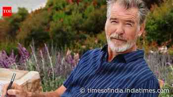 In 2000, Pierce Brosnan bought two Malibu plots for his Orchid House