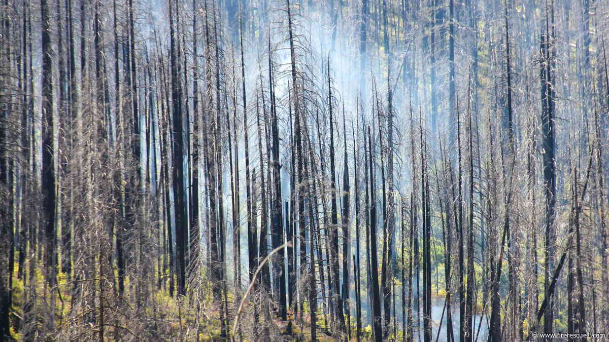 Firefighter dies from injuries suffered while battling Ore. wildfire