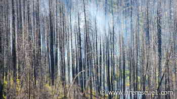 Firefighter dies from injuries suffered while battling Ore. wildfire