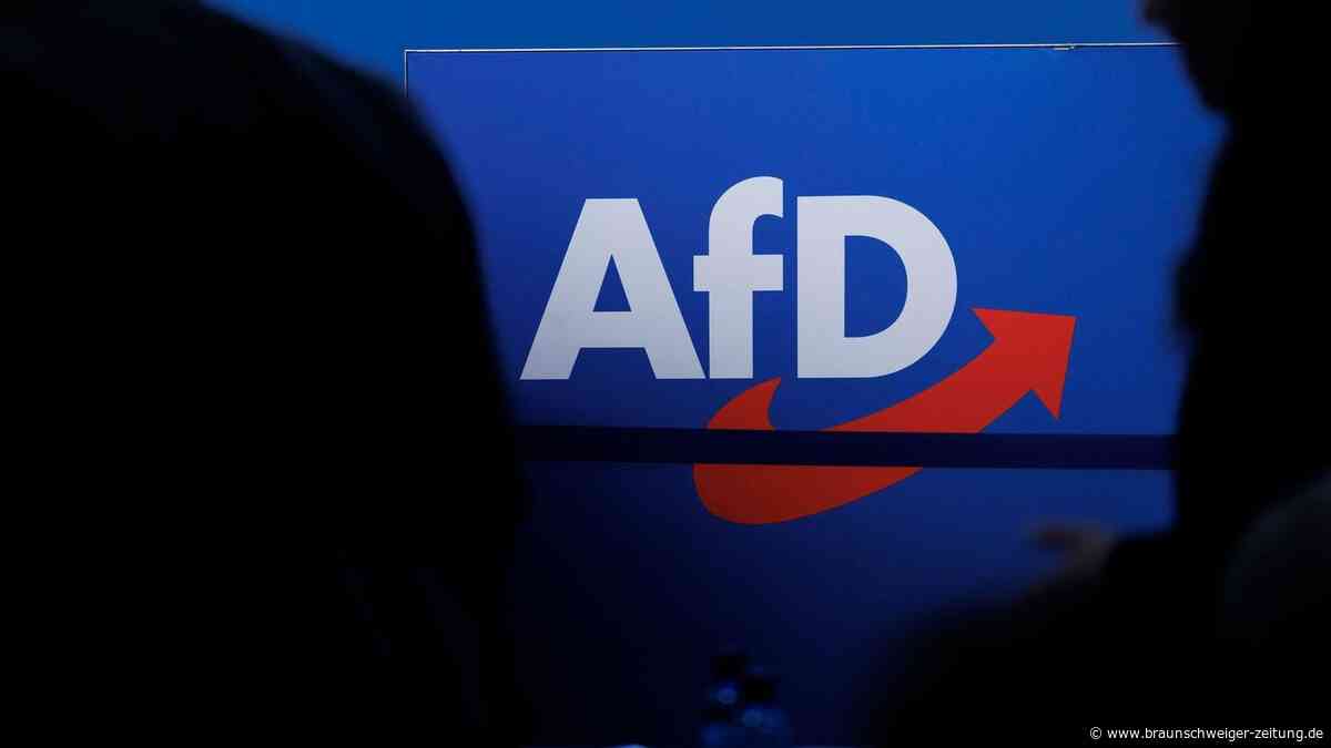 Erstmals in Niedersachsen: AfD-Kandidatin erreicht OB-Stichwahl in Salzgitter