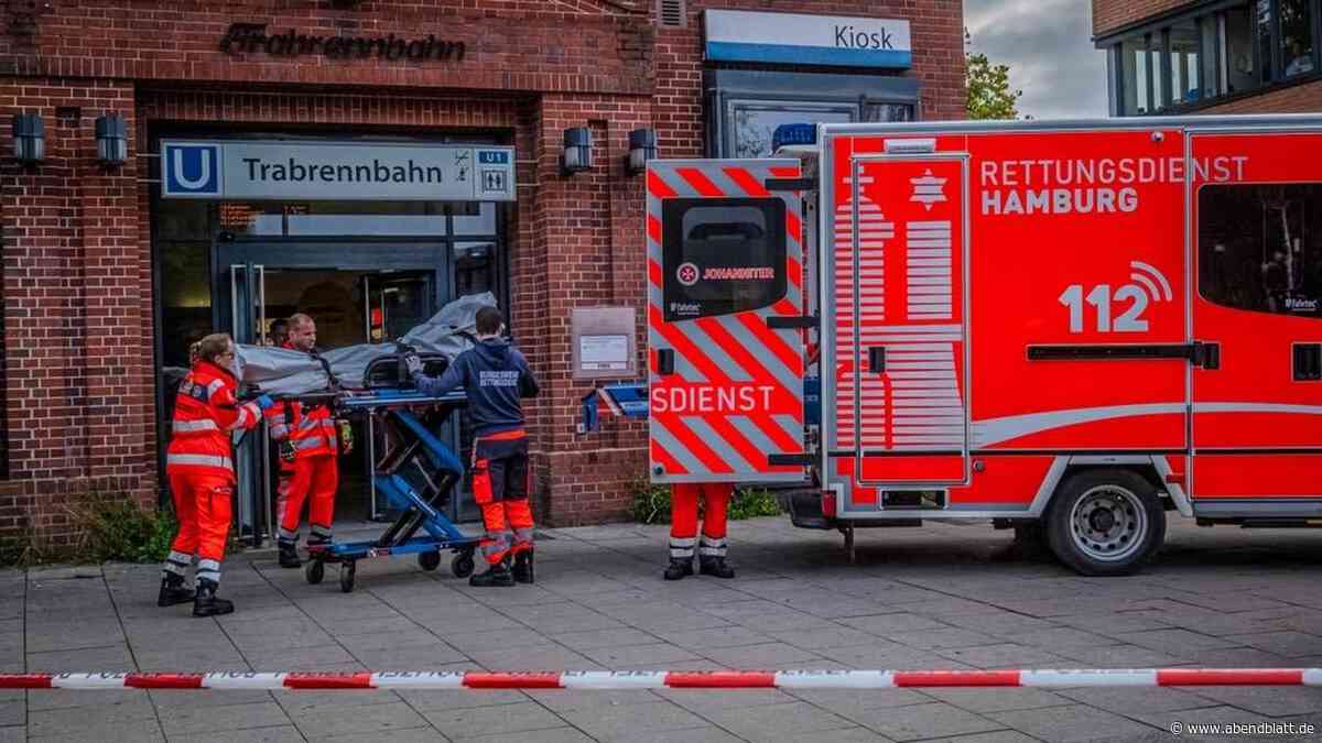 Bei Rettungsversuch: Mann (36) wird von U-Bahn erfasst und stirbt