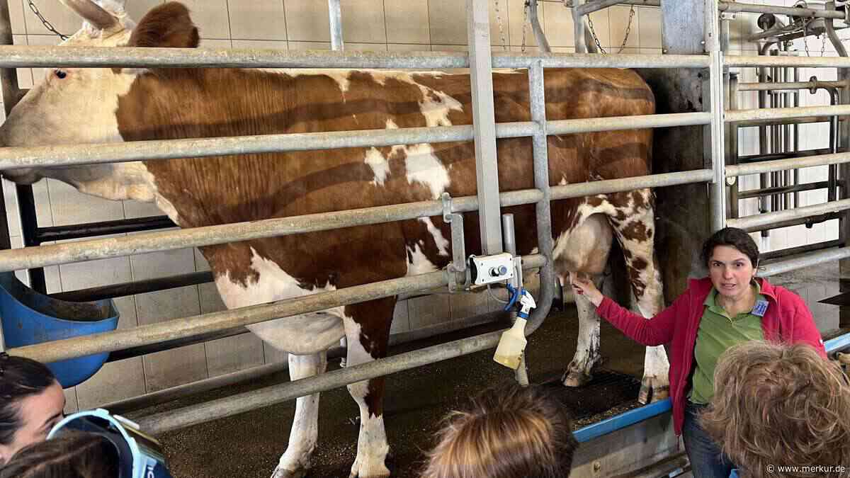 Handmelken statt Hörsaal: Lehramtsanwärter lernen auf dem Bio-Erlebnishof