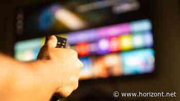 Vaunet-Studie über Pay-TV: Der Streamingmarkt wächst, die Strategien driften auseinander