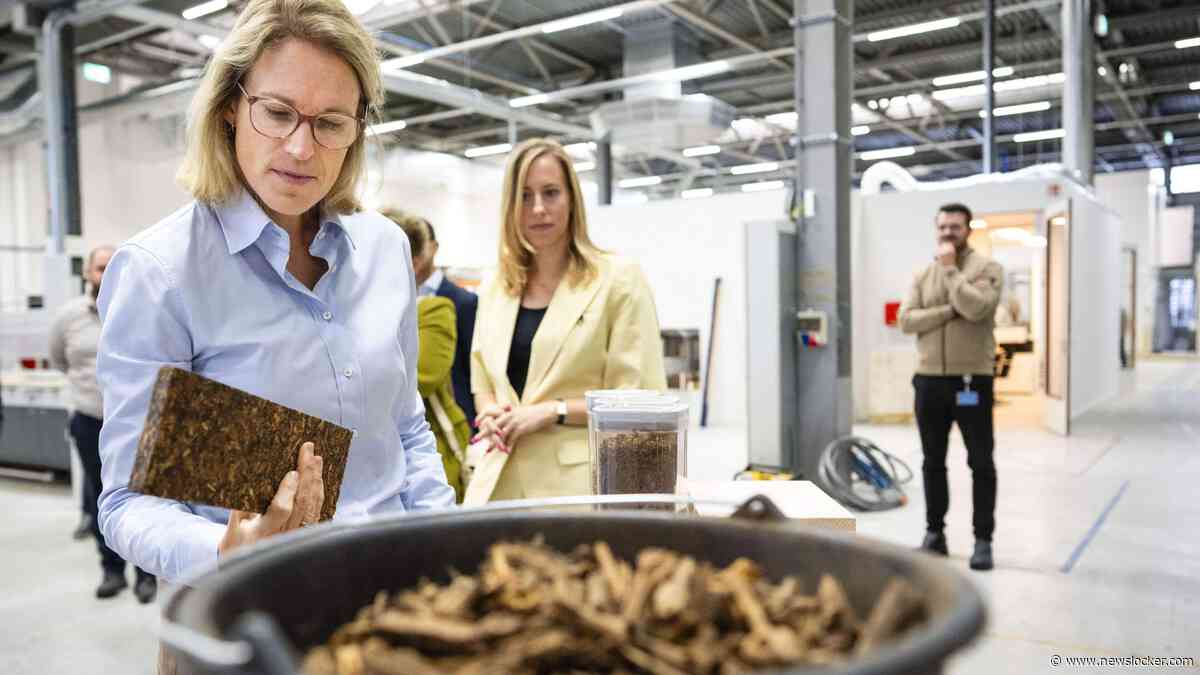 Weer nieuwe regels: over tien jaar moet 30 procent van de huizen gebouwd worden van natuurlijke materialen zoals hout en vlas