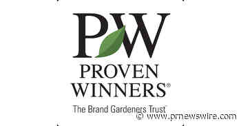 Beyond Mums: Proven Winners® Inspires With Showstopping Fall Porch Combinations