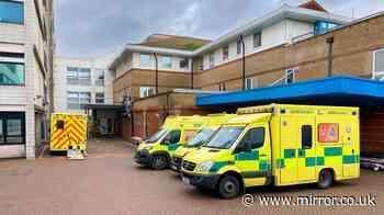 Dead body visible from public footpath after staff at NHS' Worthing Hospital propped open fire door