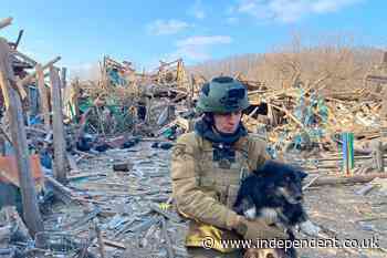 Animal rescuers severely injured in Russian drone attack while saving dogs in Ukraine