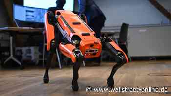 Börsenpläne unter Druck: Hype trifft Realität: Dieser Roboter-Star lässt die Anleger warten