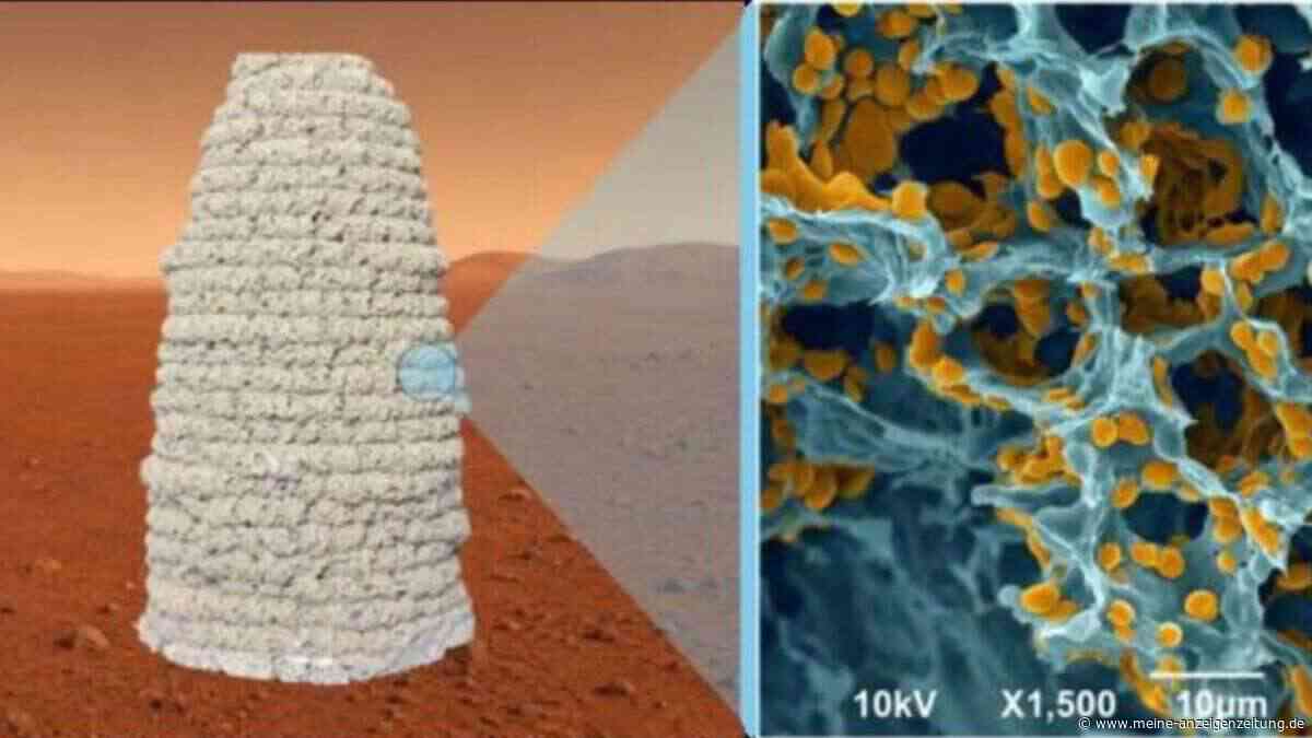 Hefe statt Beton: Forscher entwickeln 3D-druckbaren Bio-Baustoff für Häuser auf dem Mars