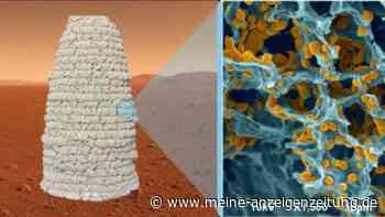 Hefe statt Beton: Forscher entwickeln 3D-druckbaren Bio-Baustoff für Häuser auf dem Mars
