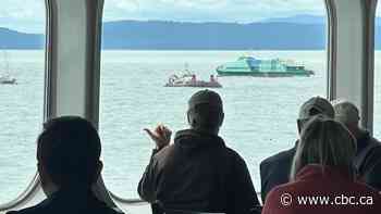 Fishing guides call for stronger enforcement of illegal charters in wake of fatal B.C. boat sinking