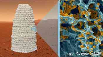 Hefe statt Beton: Forscher entwickeln 3D-druckbaren Bio-Baustoff für Häuser auf dem Mars