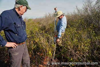 Race is on in North Carolina to Restore Critical Peatland Before it is Gone