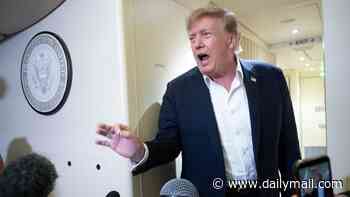 Trump claims HE'S the only guardrail that AI needs and slams 'sick conspiracy' pushing for more regulation