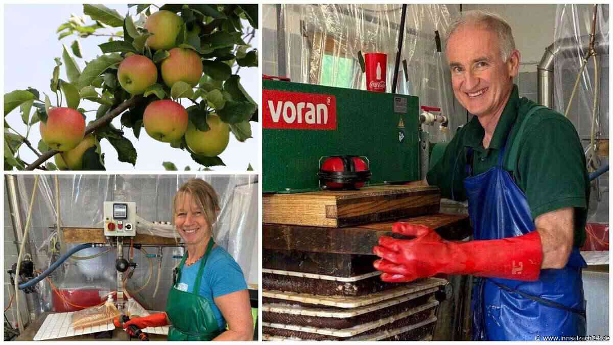 Hitze setzt Obstbäumen zu: Ernte im Wasserburger und Mühldorfer Raum mit gemischten Gefühlen