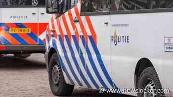 Delftenaar (19) opgepakt op verdenking van aanranding en mishandeling