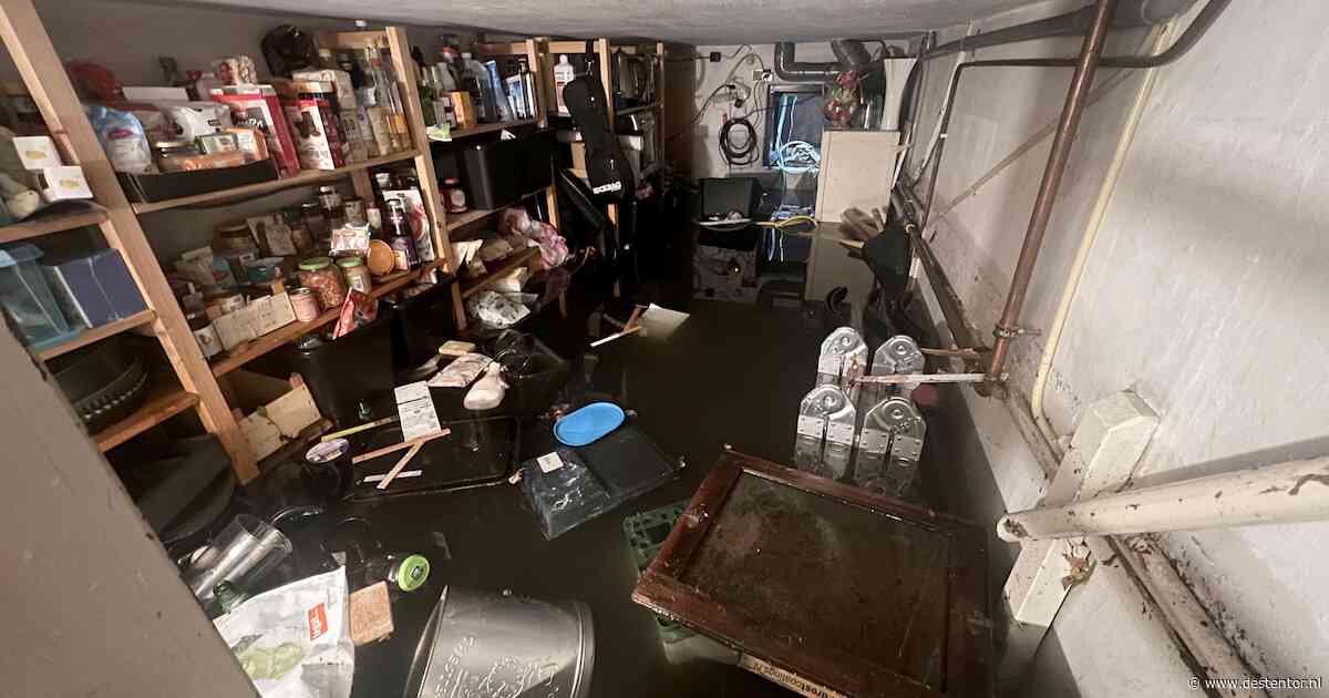 Wat als de regenbui van de eeuw in Zwolle losbarst? 'Ruim 1700 huizen op kwetsbare plek'